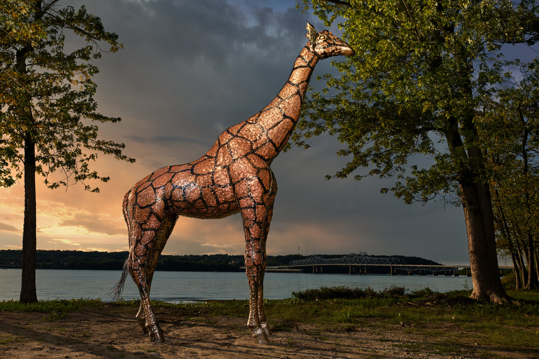 Giraffe picture,life size giraffe statue,giant giraffe,giraffe sculpture,never a penny short,metal giraffe,bronze giraffe